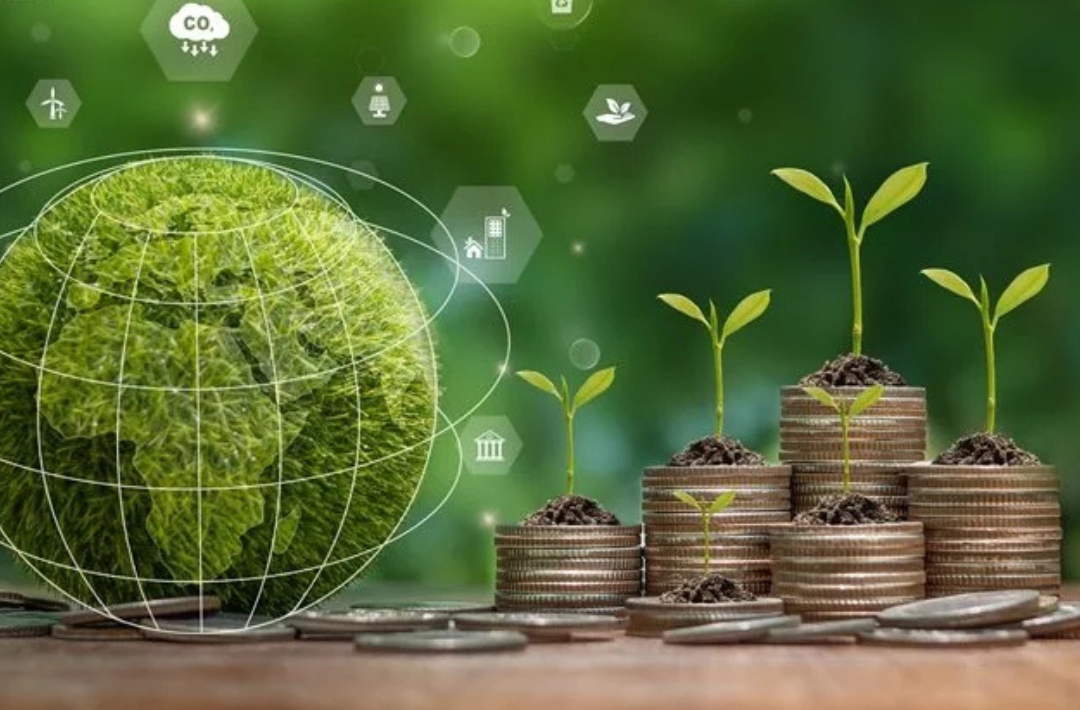 COP29's Climate Finance Debate