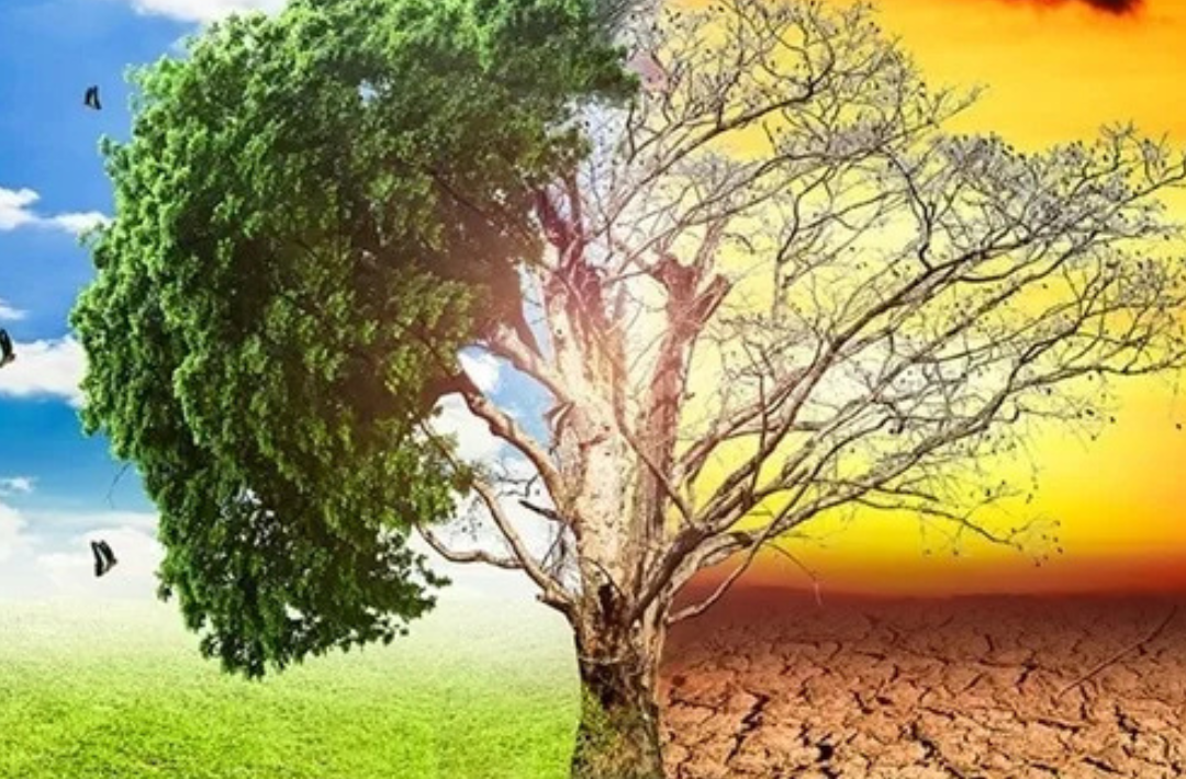 Escalating Health Risks of Climate