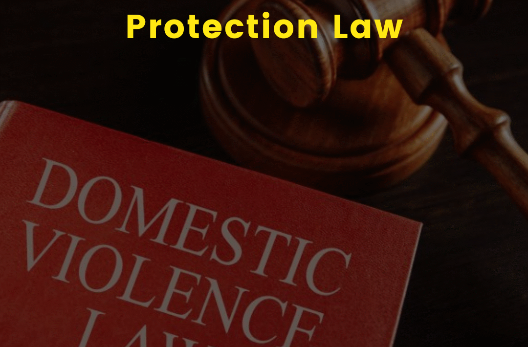 Domestic Violence Protection Law