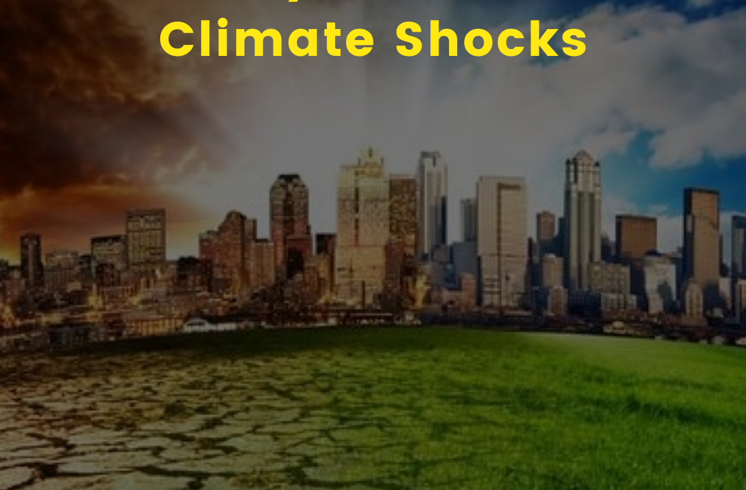 Ability to Survive Climate Shocks